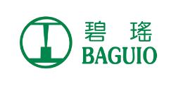 BAGUIO GREEN GROUP LIMITED